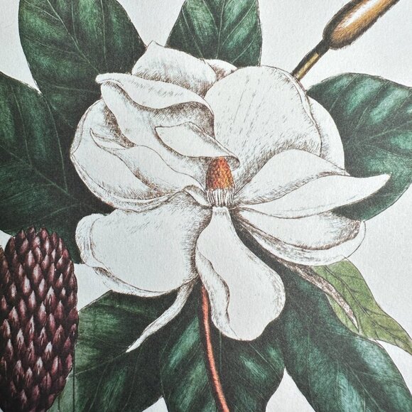 The Laurel Tree of Carolina Blank Card - Picture 7 of 12